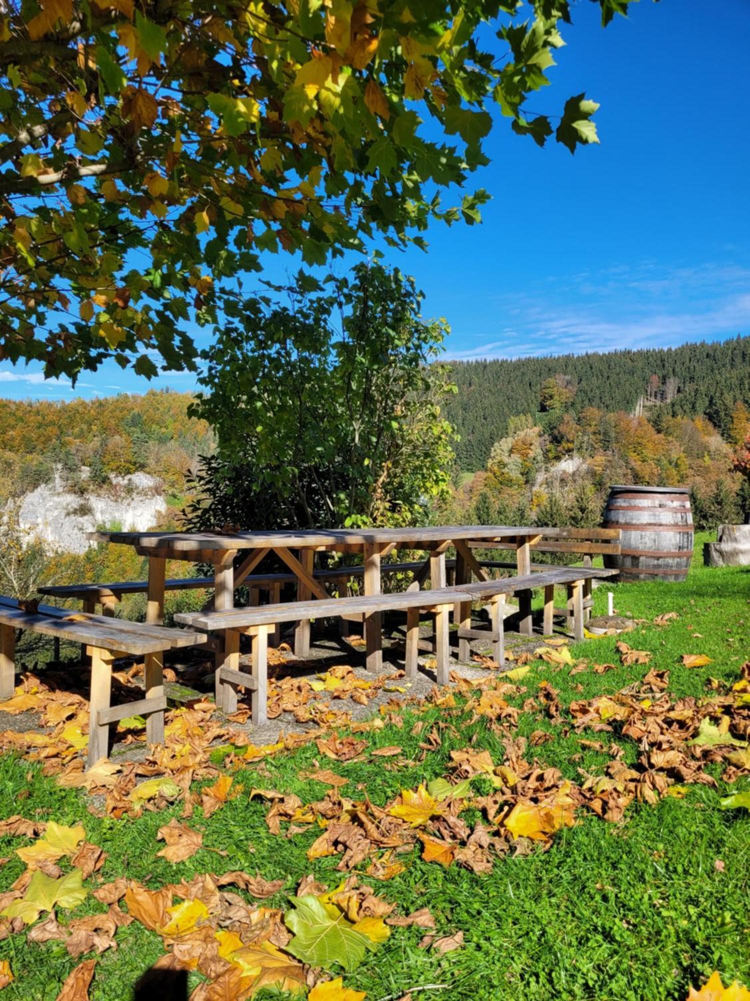 Vila Kraeuterhof Miesrigl Losenstein Exteriér fotografie
