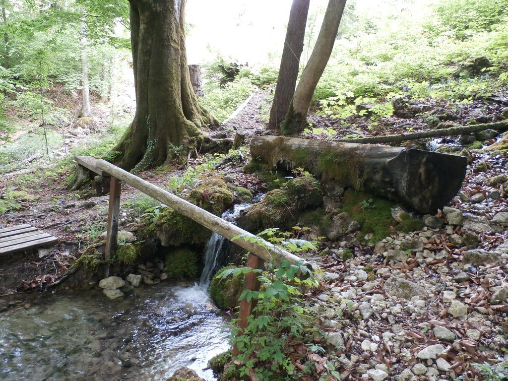 Vila Kraeuterhof Miesrigl Losenstein Exteriér fotografie