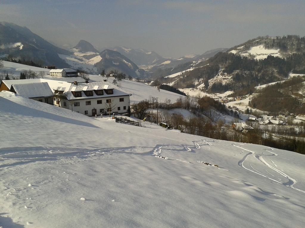 Vila Kraeuterhof Miesrigl Losenstein Exteriér fotografie