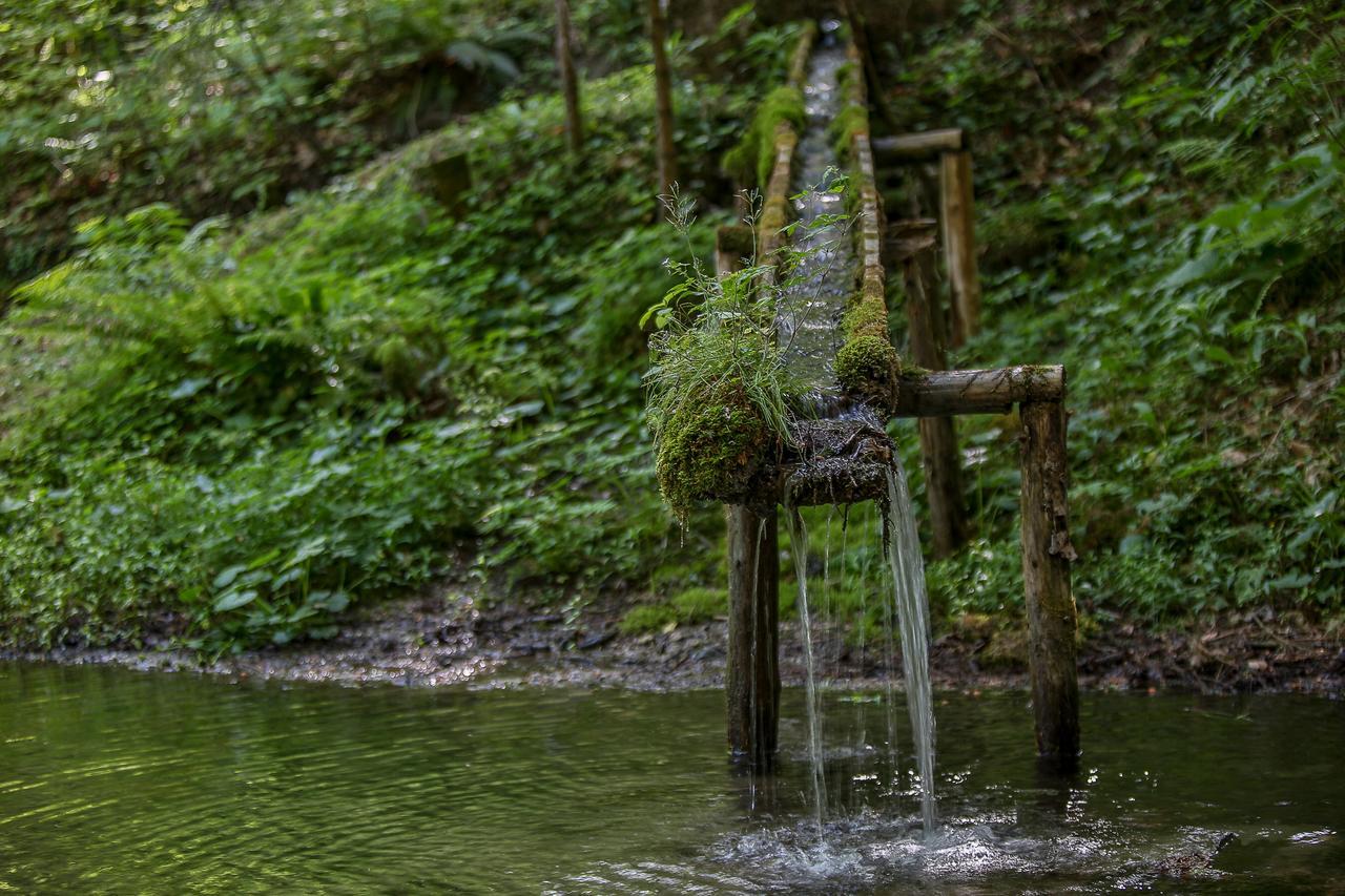 Vila Kraeuterhof Miesrigl Losenstein Exteriér fotografie