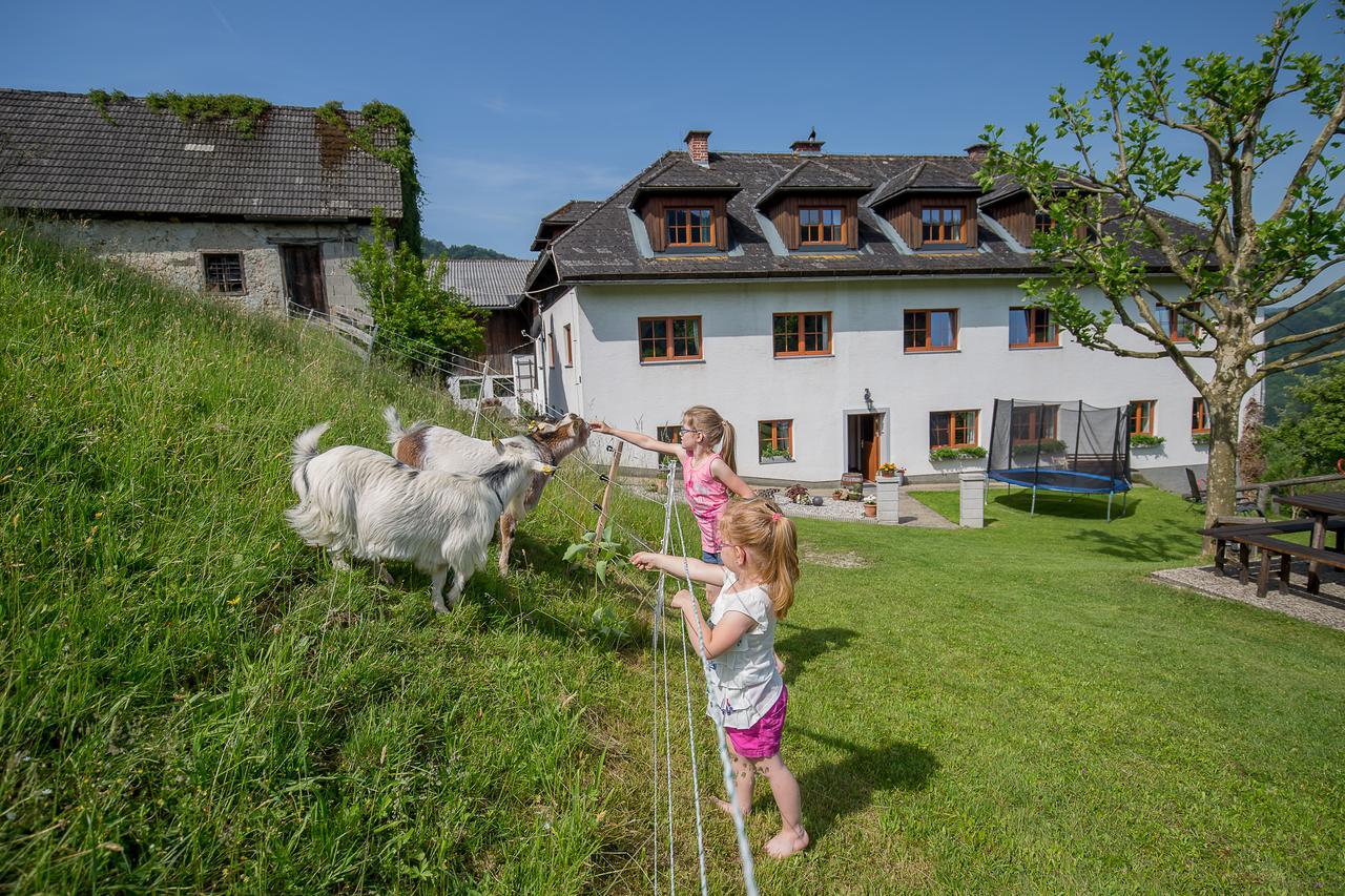 Vila Kraeuterhof Miesrigl Losenstein Exteriér fotografie