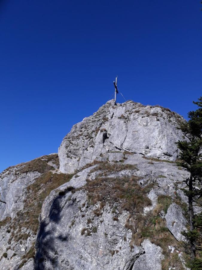 Vila Kraeuterhof Miesrigl Losenstein Exteriér fotografie